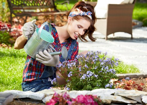 Professional mowing and turf care in Selsdon