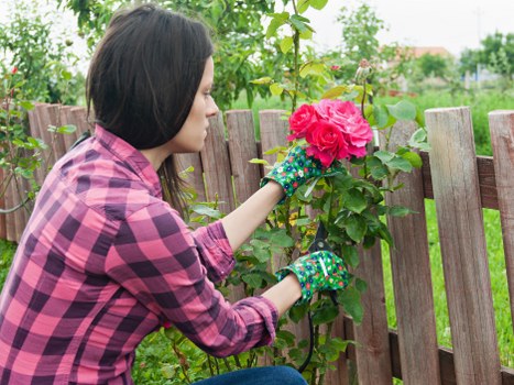 Gardeners Selsdon providing reliable care for a well-kept local garden