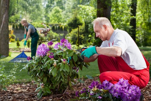 Charity reuse items from garden work ready for donation