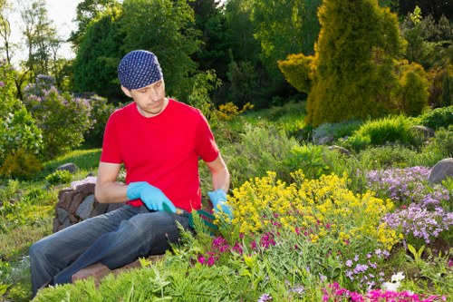 Lawn and hedge maintenance as part of gardening services in Selsdon