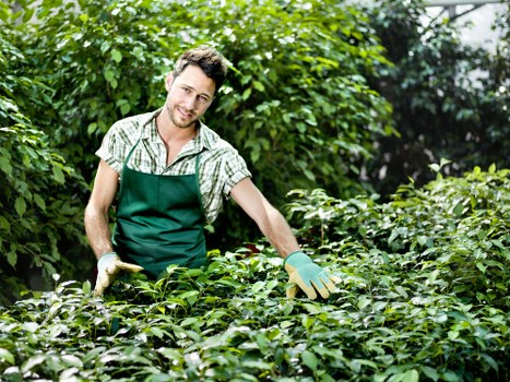 Professional lawn mowing service maintaining a Selsdon garden