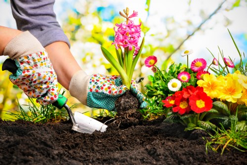 Garden clearance and landscaping support in Selsdon