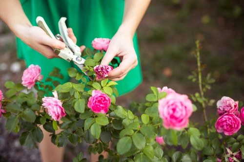 Soft landscaping in Selsdon with shrubs, flowers, and lawn areas