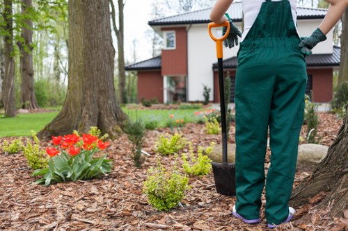 Well-kept residential lawn in Selsdon after regular maintenance
