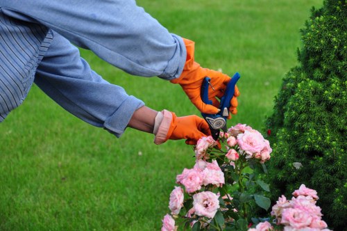 Structured resolution process for gardening service concerns