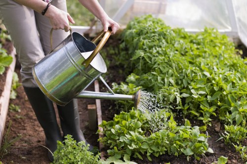 Removing branches and green waste during garden clearance